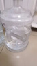 拜杰纯净水桶 食品级PC矿泉水桶透明手提式水桶茶水桶 大容量水桶黑盖7.5L 实拍图