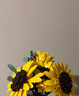 乐高（LEGO）积木11502 向日葵花束男女孩玩具毕业礼物家居装饰摆件 实拍图
