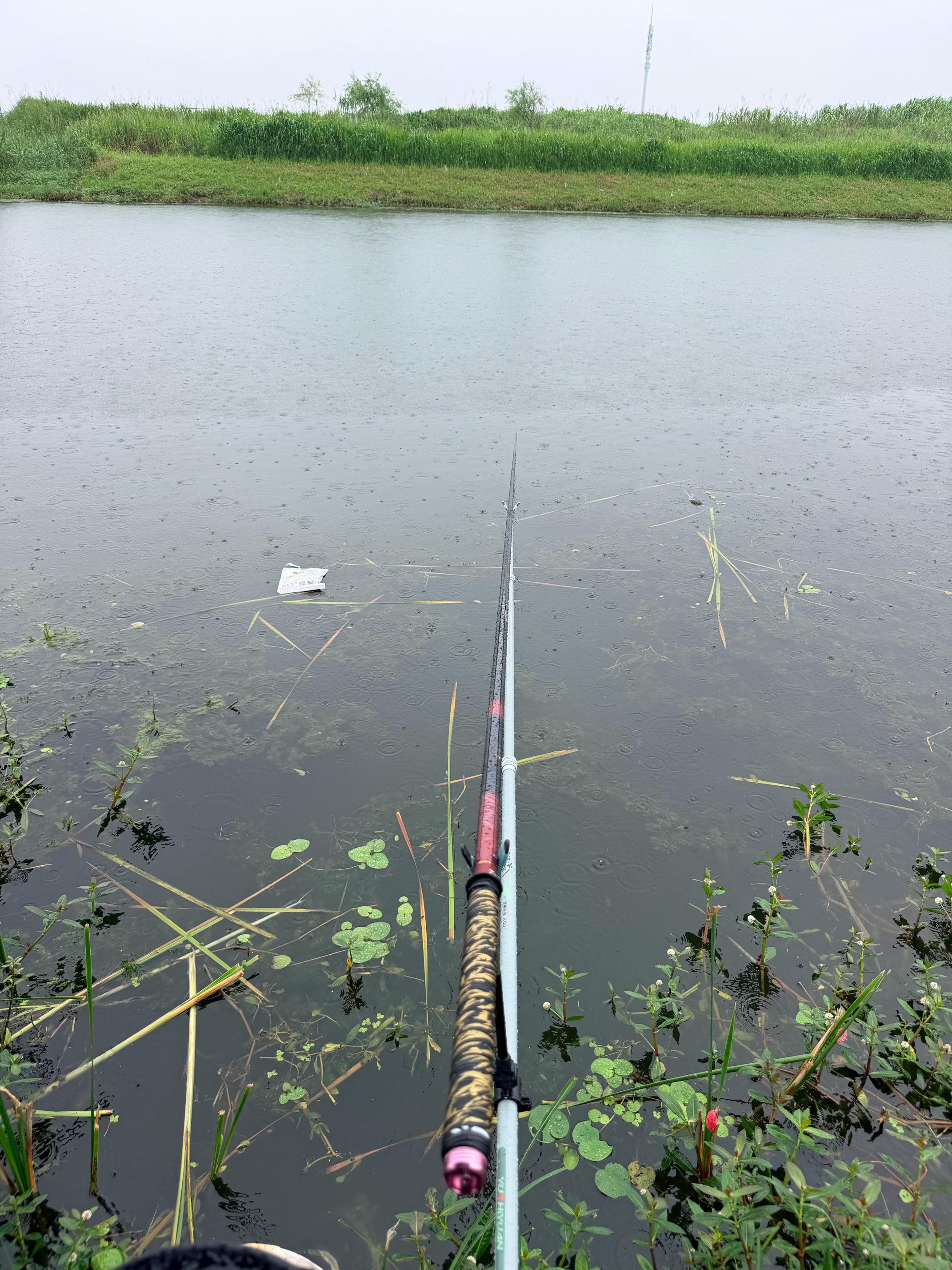 达亿瓦（DAIWA） 新款 一击樱 综合休闲手杆台钓竿轻碳素进口钓鱼竿钓杆 垂钓装备 F-6.3米 实拍图