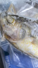 海名威 宁德三去大黄鱼 对半厚切黄花鱼 净重2斤/3片装 海鲜 生鲜鱼类 实拍图