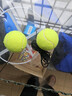 Murcia儿童匹克球球拍Pickleball室内户外运动组合套装比赛拍儿童玩具 实拍图