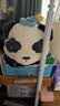 babycare婴儿玩偶安抚枕宝宝多功能哄睡抱枕侧睡靠背档枕咘咘熊猫45*23*15 实拍图