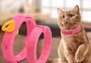 欢宠网猫驱虫项圈狗猫咪狗狗脖圈颈圈小狗小型犬猫猫小猫幼猫宠物跳蚤圈 实拍图