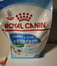 皇家幼犬成长礼盒（幼犬粮 800g+成犬粮 50g*5）数量有限 限时抢购 实拍图