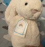 Jellycat害羞乳白色邦尼兔动物毛绒玩偶安抚玩偶娃娃送礼生日礼物 害羞乳白色邦尼兔 Small 实拍图