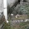 隐视界超高清无线4GK摄像头家用监控器免插电小型无需WiFi无网针免流量摄线头式连手机拇指远程小号监控 4G流量旗舰款（圆形+免充值流量+人体感应） 32g高速卡（5天循环录像保存） 实拍图
