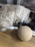 HELLOJOY猫玩具剑麻球超大号猫咪自嗨解闷神器耐咬球逗猫玩具 米色12CM 实拍图