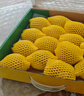 佳沛（zespri）新西兰阳光金奇异果10粒巨大果单果146-175g 猕猴桃水果礼盒 实拍图