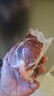 鲜京采 国产山东黄牛谷饲原切牛腿肉3斤 生鲜牛肉 烧烤炖煮食材 实拍图