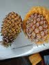 正宗海南金钻凤梨新鲜现货手撕大果巨大号多汁不需挖眼水果包邮 金钻凤梨净重8.5-9斤5-9个 【小果】 实拍图