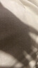 立蒙（LIMENG）男女装素色180g全棉短袖t恤圆领宽松体恤打底衫 白色 3XL 实拍图