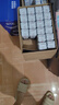 光明莫斯利安金装常温原味酸奶200g*24盒 家庭分享装整箱送礼京东自营 实拍图