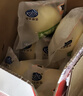 港荣蒸蛋糕淡糖800g纯蛋糕面包零食饼干早餐中西式糕点甜品礼品盒物箱 实拍图