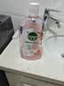 滴露（Dettol）香氛自然衣物消毒液1L*4  留香48H洗衣除汗臭 儿童玩具杀菌消毒水 实拍图