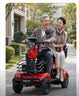 飞鸽四轮老年电动车老人代步车电动车四轮最新款高端景区观光车 【国标好电池】600W48V24AH黑金约40公里 实拍图