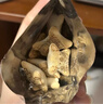 乐天（LOTTE）小熊饼干195克大盒装泰国进口巧克力夹心饼干儿童零食 实拍图
