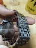 马克华菲阿玛妮机械风手表男士十大名表商务品质国表礼物送男友5370 实拍图