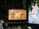 AOC 27英寸4K165Hz Gen.3五层堆叠QD-OLED 第五代BlackAGLR涂层 抗反射抗眩光更黑 电竞显示器U27G4D 实拍图