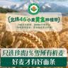 英氏有机婴幼儿彩蝶面200g 婴儿面条蝴蝶面儿童早餐辅食宝宝面条13月+ 实拍图