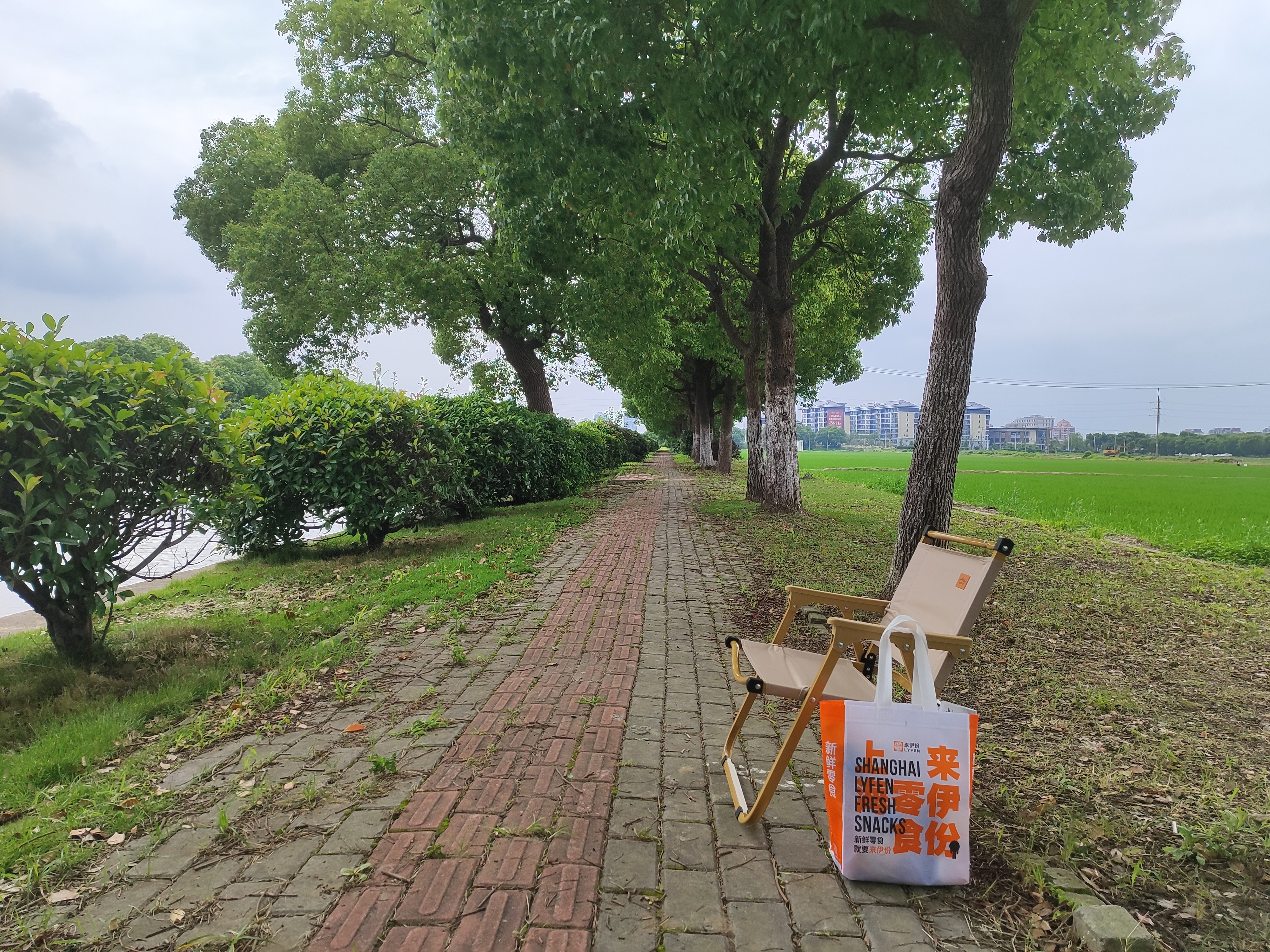 北岳户外折叠椅子便携野餐克米特椅轻钓鱼露营用品装备椅沙滩野外桌椅 【加厚树脂扶手-加大号】卡其 实拍图