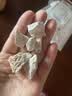 苏紫堂龙骨100g/袋 山西运城 中药饮片 龙骨青化龙骨花龙骨白龙骨 京东大药房 官方正品药用 实拍图
