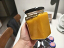 东菱（Donlim）全自动无糖面包机大容量智能双撒大功率可预约多功能面包机和面机冰淇淋机DL-1352白 实拍图