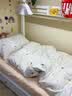 雅鹿全棉大学生宿舍床上三件套纯棉床单被罩90x190米床笠款床品四件套 叶畔兔语C【100%全棉 亲肤透气】 0.9m 床单款 三件套【床单+被套+枕套*1】 实拍图
