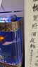 森森（SUNSUN）森森鱼缸喂食器自动投食器锦鲤金鱼水族箱智能定时喂鱼器 智能定时升级款+双食盒 实拍图