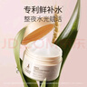 袋鼠妈妈睡眠面膜小麦鲜补水护肤品水嫩肌肤懒人面膜易涂免洗舒缓面膜80g 实拍图