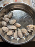 海鼎纪冷冻生蚝肉800g (400g*2)  牡蛎肉 火锅烧烤食材海鲜生鲜 实拍图