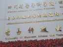 斐乐（FILA）偏光折叠太阳镜防UV防晒防紫外线防眩光防强光TR超轻耐磨骑行护眼 实拍图