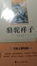 骆驼祥子+钢铁是怎样炼成的（全2册）初一下完整无删减正版 整本书阅读必读书目老舍 扫码听读 赠送全书情节海报+精美书签+电子版章节导图+阅读指导手册  实拍图