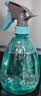 喷壶浇花浇水喷雾器气压式喷水壶家用园艺养花500ml 南瓜喷壶透蓝【1个装】 实拍图