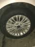 玛吉斯（MAXXIS）轮胎/汽车轮胎 195/65R15 91V MA510 原配福克斯 实拍图