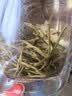 茶禾韵特级茉莉花茶茉莉飘雪2026新茶茶叶明前头采嫩芽浓香耐泡罐装 茉莉飘雪半斤罐装 实拍图