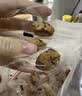 十月稻田 去皮去核灰枣 500g 新疆红枣 软糯香甜 单颗独立包装 零食 辅食 实拍图