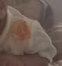 婧麒包屁衣婴儿春夏季薄款连体衣新生儿衣服宝宝三角爬服透气夏装 太阳【全背网眼】 59cm 实拍图