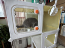 憨憨乐园猫玩具逗猫棒幼小猫猫咪磨牙玩耍耐咬互动自嗨玩具神器宠物用品 实拍图