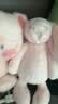 名创优品（MINISO）福莉丝猪系列-乖乖坐姿公仔毛绒玩具玩偶抱枕娃娃生日礼物女 实拍图
