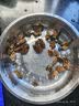 金唐蚝干大号200g 牡蛎干生蚝干煲汤煮粥材料 海产干货中秋食材 实拍图