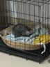 泽硕宁狗笼子大中小型犬狗窝带厕所折叠便携猫笼子超大号狗狗围栏宠物笼 黑色狗笼【加粗加固】赠厕所托盘 小型犬【8斤内】50*33*38 无毛边/无倒刺/不卡脚 实拍图