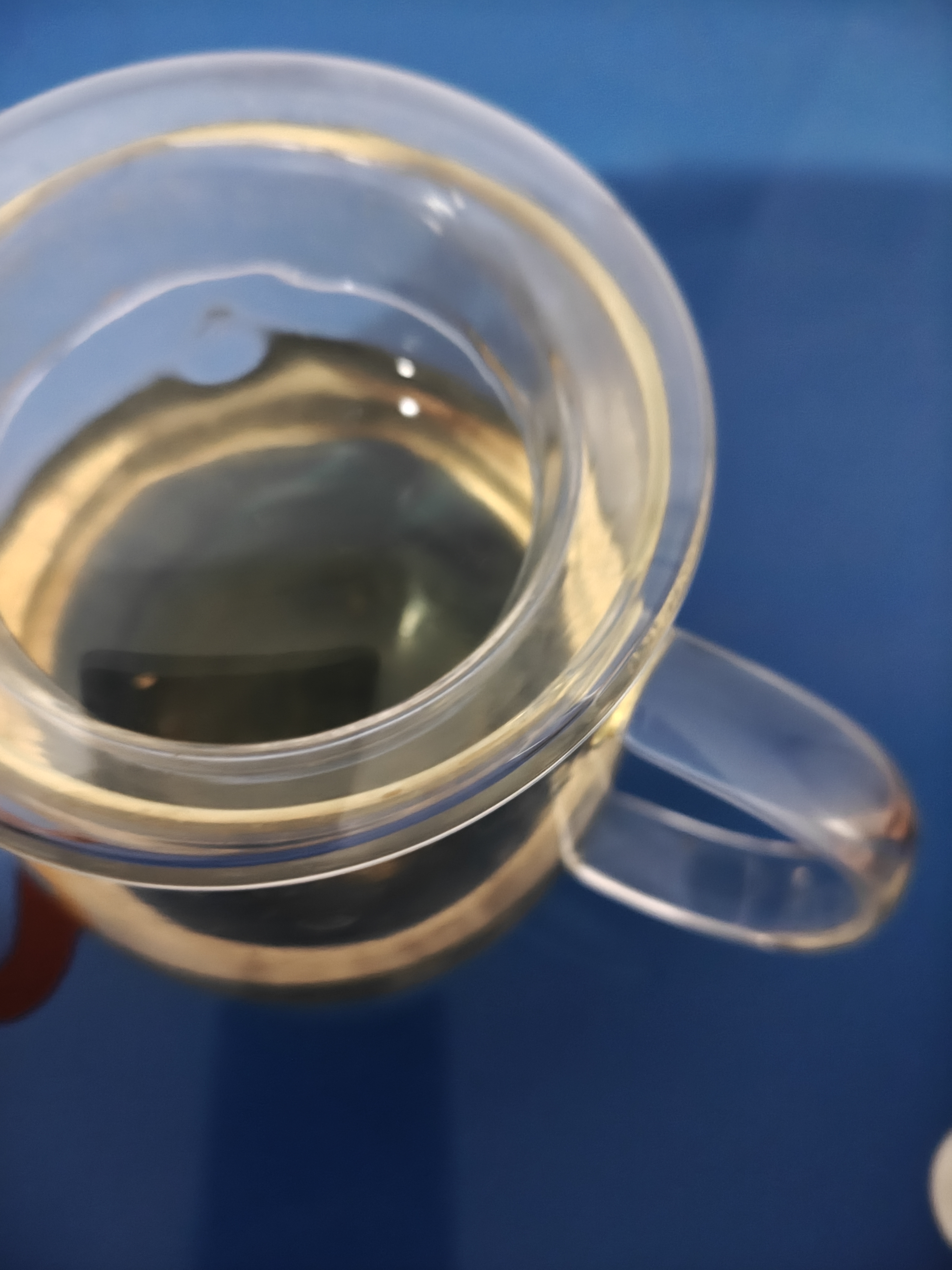 馥益堂福鼎白茶2023年白毫银针老白茶 福鼎白茶高山茶50g盒装茶叶自己喝 实拍图