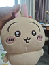 名创优品（MINISO）chiikawa小号站姿公仔毛绒玩偶玩具抱枕生日礼物女 Usagi乌萨奇 实拍图
