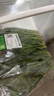 【24小时菜】菠菜苗250g(长度≤20cm) 实拍图