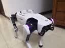 DOBOT越疆Rover X1智能机器狗2026新款 AI语音对话家庭陪伴电子宠物自主跟随机械狗具身智能四足机器人 晒单实拍图