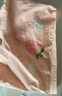 北极绒4条装儿童内裤女童发育期纯棉女孩学生10A抑菌平角短裤宝宝中大童 实拍图