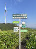 Tenda腾达 usb无线网卡wifi6 智能免驱无限 无线网卡台式机专用 wifi接收器 高增益天线 无线wifi发射 实拍图