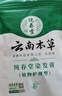 纯春堂云南本草染发剂植物盖白头发天然纯黑无刺激不沾头皮男女士染发膏 实拍图