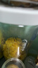 家乐氏（Kellogg）进口谷维滋310g/盒儿童营养谷物麦片谷物脆冲泡即食早餐代餐零食 实拍图