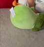 名创优品（MINISO）西瓜墩Dun鸡21号MINI FAMILY水果干公仔毛绒玩具玩偶娃娃生日礼物 实拍图